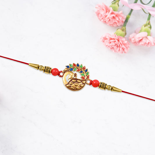 From Fights To Forever Bhai-behen Saga